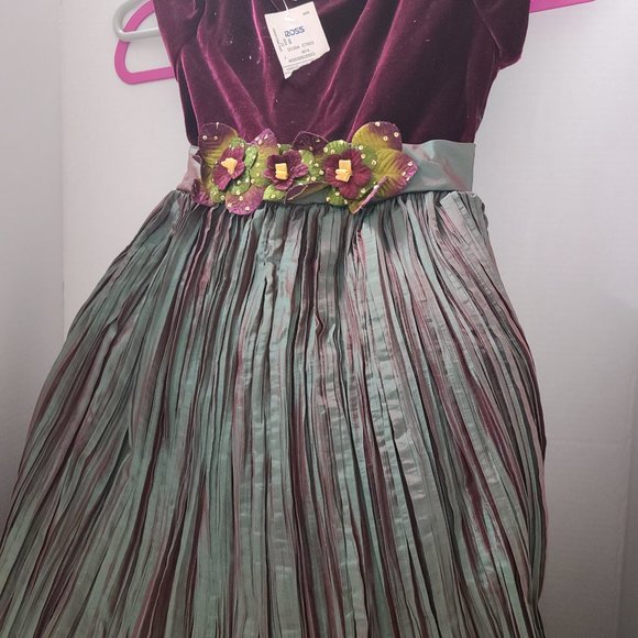 Cinderella Dress - Picture 4 of 5